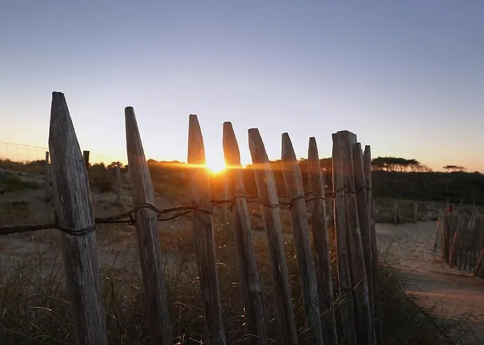 Apartment La Piste Bleue *
