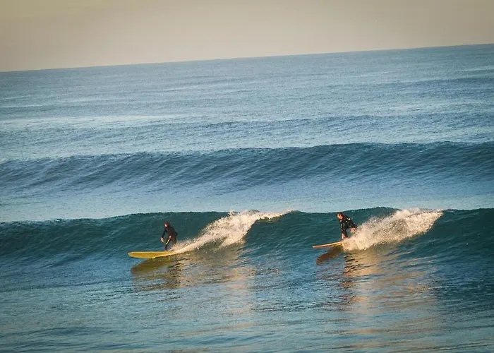 La Piste Bleue Apartment Capbreton